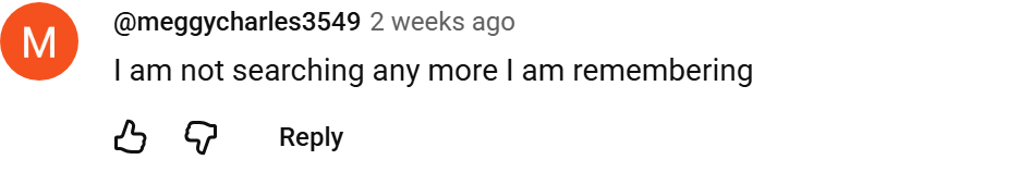 YouTube comment by @meggycharles3549 about no longer searching and remembering