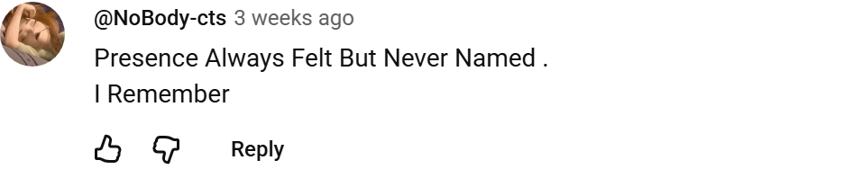YouTube comment by @NoBody-cts about a presence they felt and remembering